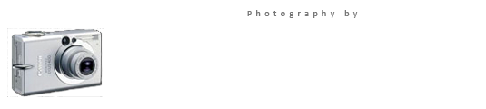 Thomas McNamara's Photomara Logo